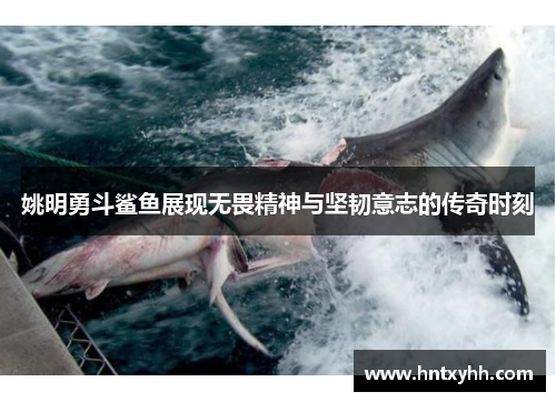 姚明勇斗鲨鱼展现无畏精神与坚韧意志的传奇时刻