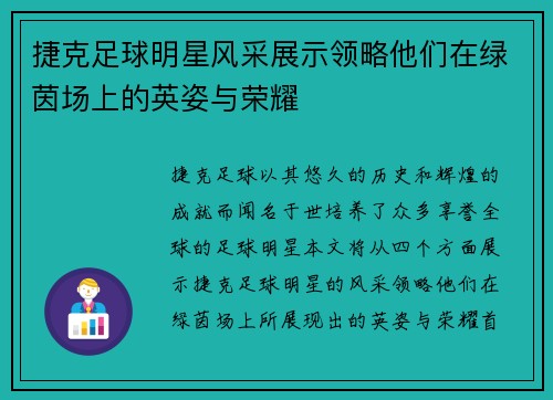 捷克足球明星风采展示领略他们在绿茵场上的英姿与荣耀